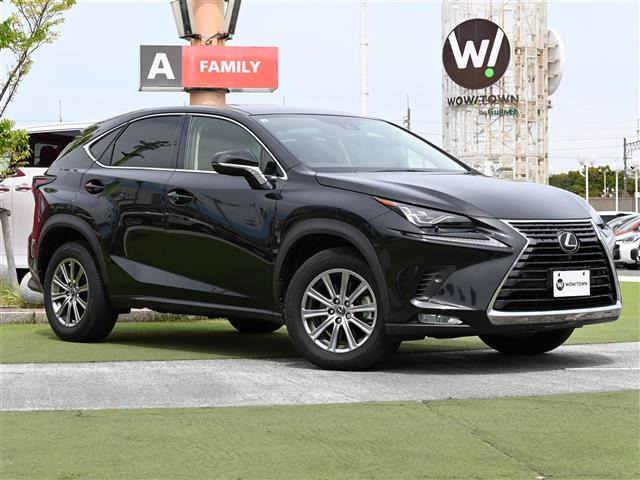 NX300 Iパッケージ