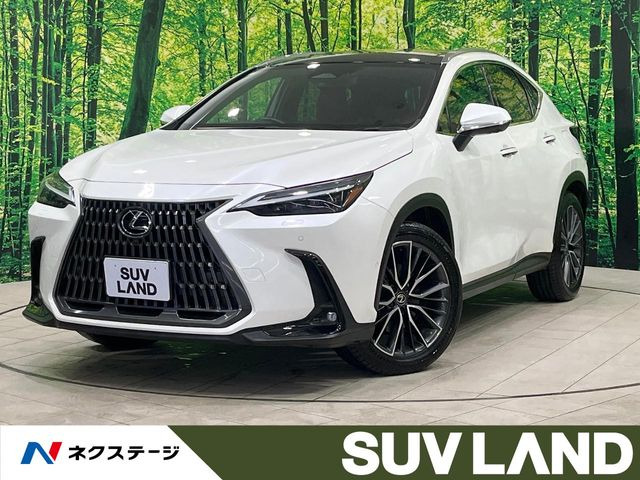 NX350h バージョンL