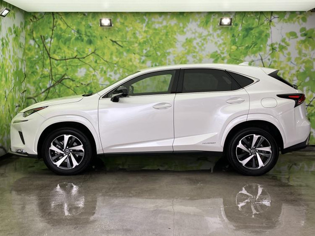 NX300h スパイス&amp;シック