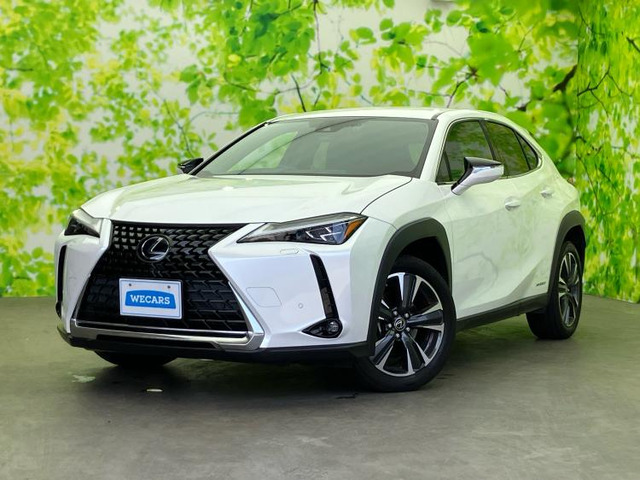 UX250h バージョンC