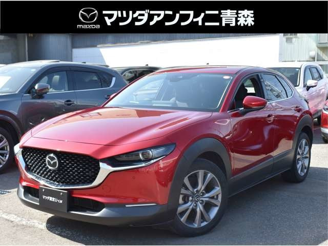 CX-302.0 20S プロアクティブ