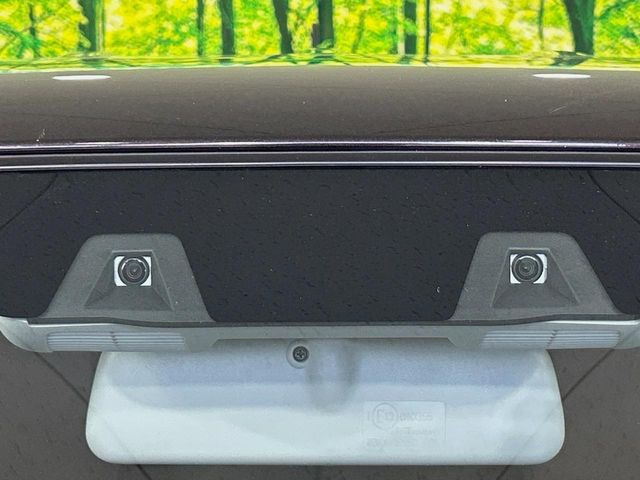 アルトラパンLC X