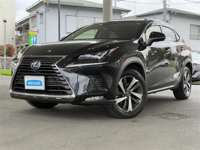 NX300h バージョンL