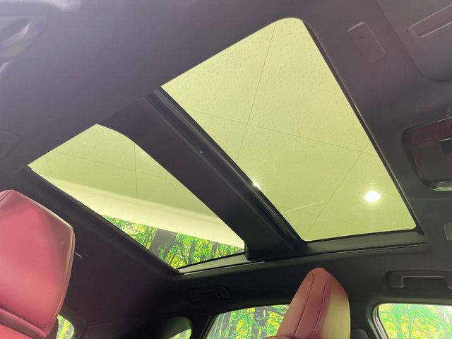 NX350h バージョンL