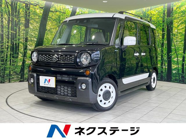 �X�y�[�V�A�M�A(�X�Y�L) �}�C �X�^�C�� ���Îԉ摜