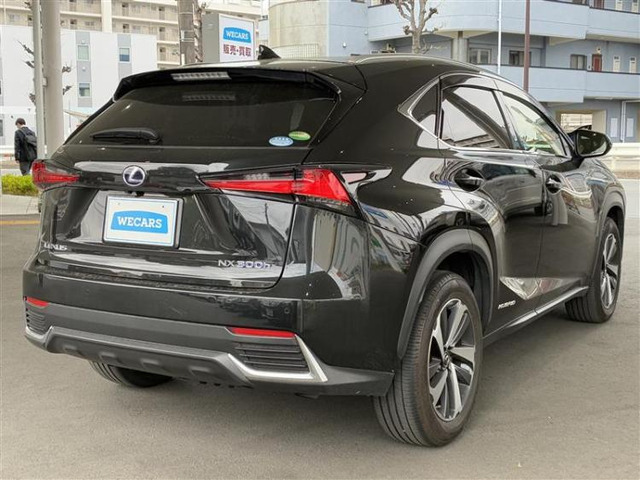 NX300h バージョンL