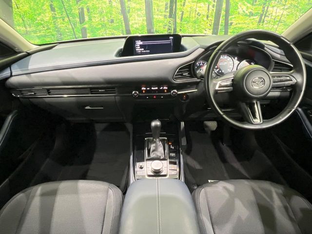 CX-302.0 20S プロアクティブ