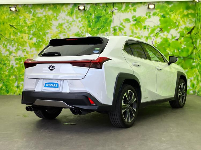 UX250h バージョンC