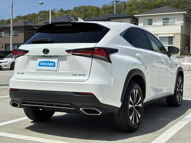 NX300 Fスポーツ