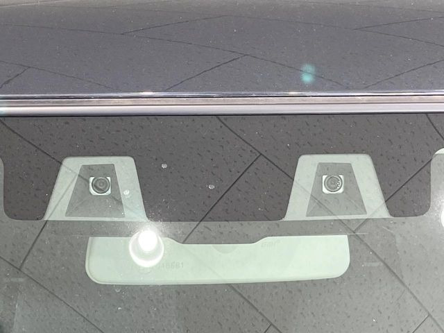 ハスラータフワイルド