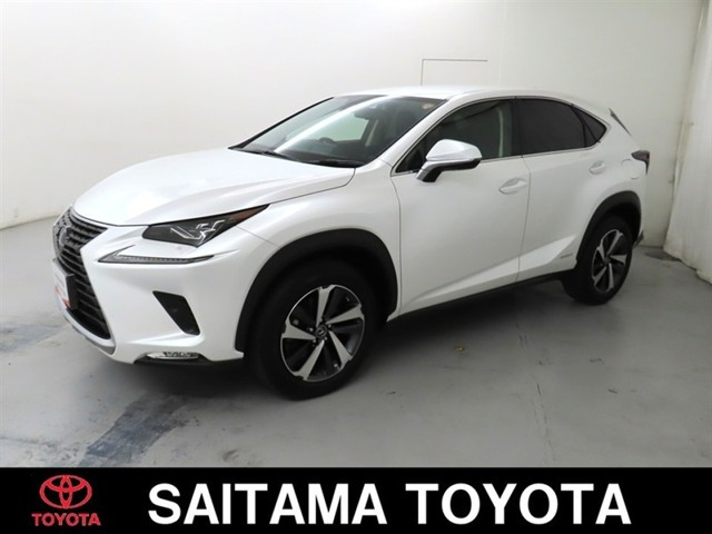 NX300h Iパッケージ