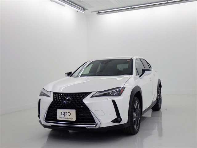 UX250h バージョンC