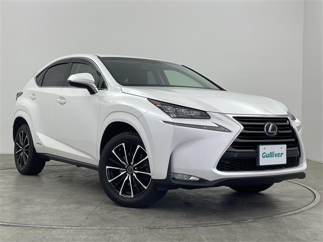 NX300h バージョンL