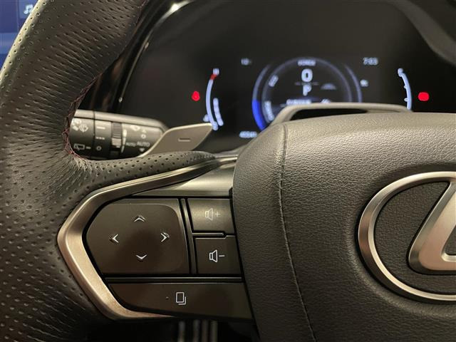 RX500h Fスポーツパフォーマンス 4WD