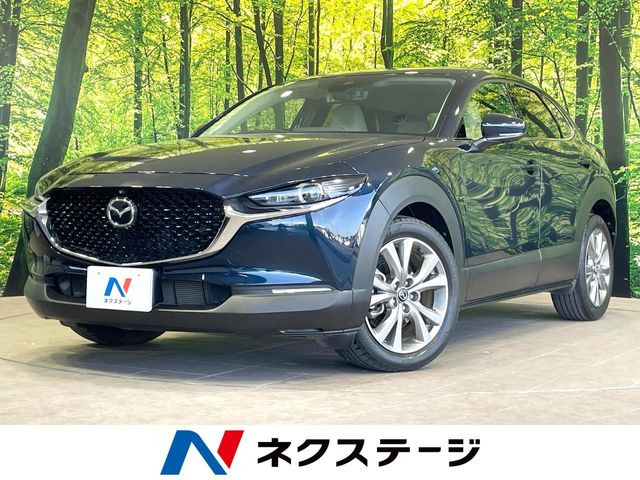 CX-302.0 20S プロアクティブ ツーリングセレクション