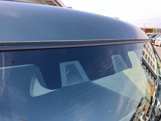 ハスラータフワイルド