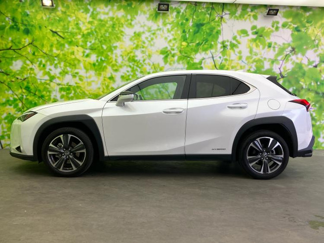 UX250h バージョンC