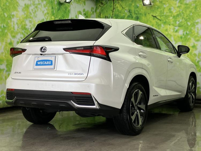 NX300h スパイス&amp;シック