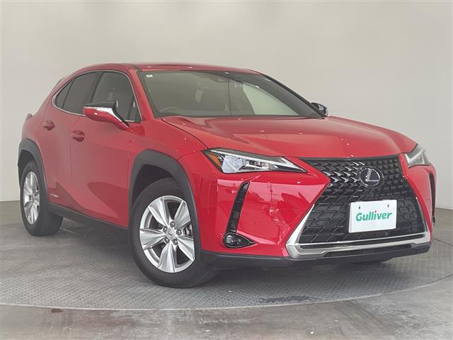 UX250h バージョンC