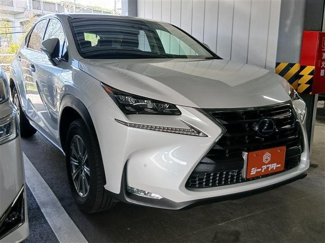 NX300h Iパッケージ