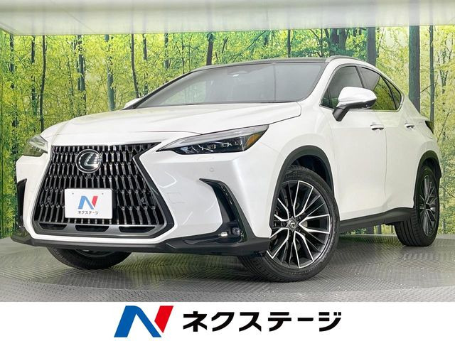 NX350h バージョンL