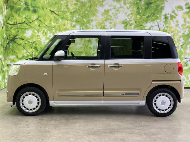 ムーヴキャンバスストライプス G