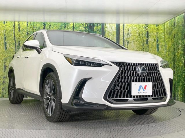 �������x�̃K���X�疌�ŝ����͂������A�㎿�ȃc���E����������B���O����_���J�����؂Ȉ��Ԃ�ی삵�A�F�����E�򉻂�h�~�B�u�e�X�v���b�V���R�[�g�v�A�u�e�v���~�b�T�R�[�g�v���炨�I�т��������܂��B