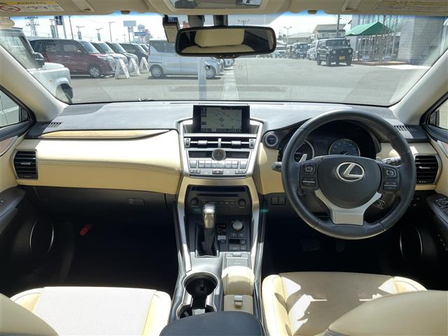 NX300h バージョンL