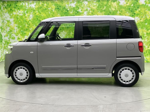 ムーヴキャンバスストライプス G