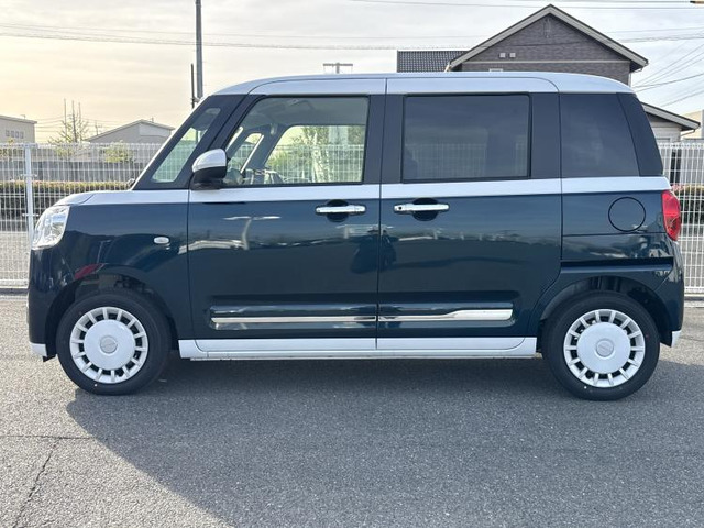 ムーヴキャンバスストライプス G