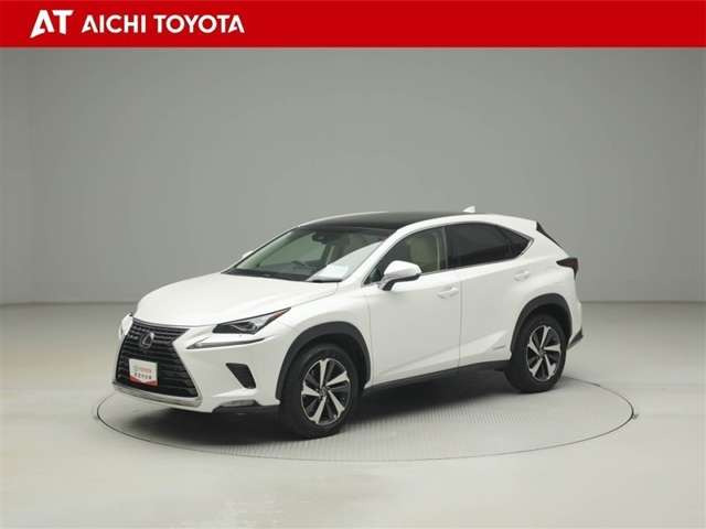 NX300h バージョンL