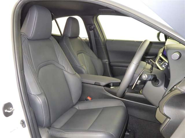 UX250h バージョンC