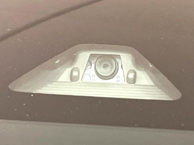 キャストアクティバ G SAII