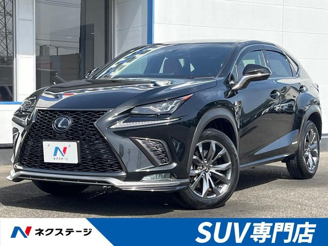 NX300h Fスポーツ