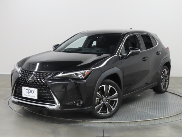 UX250h バージョンL