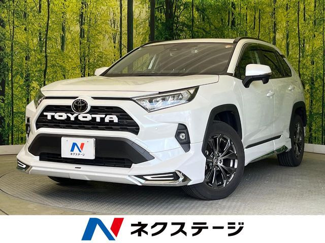 RAV42.0 X