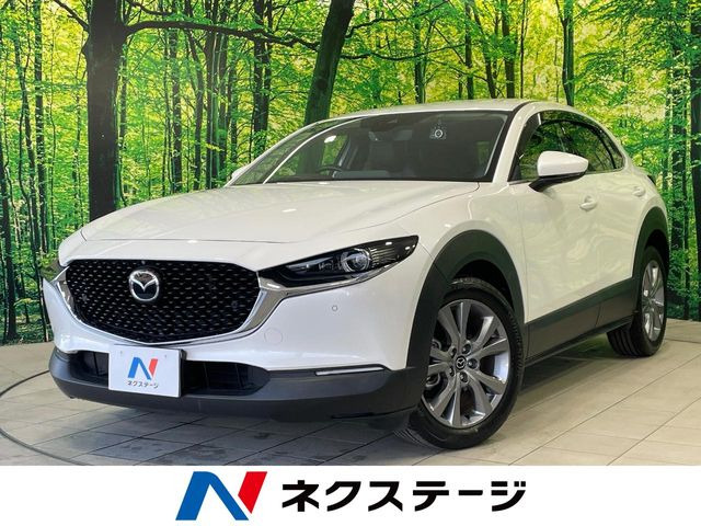 CX-301.8 XD Lパッケージ