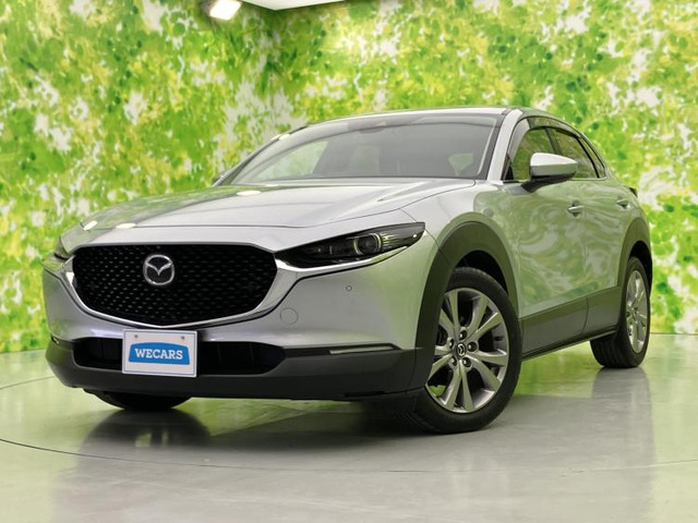 CX-302.0 20S プロアクティブ