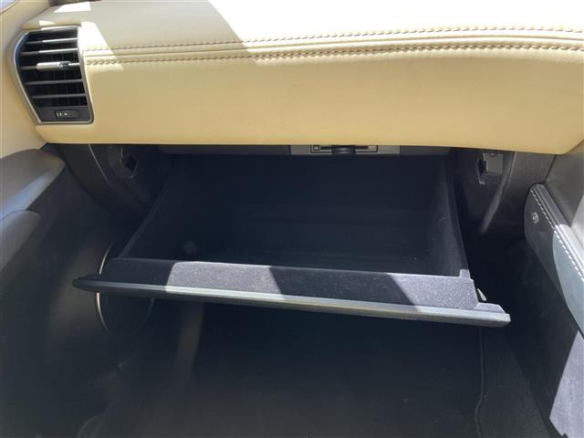 NX300h バージョンL