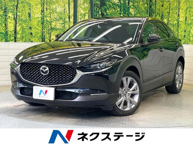 CX-302.0 20S プロアクティブ