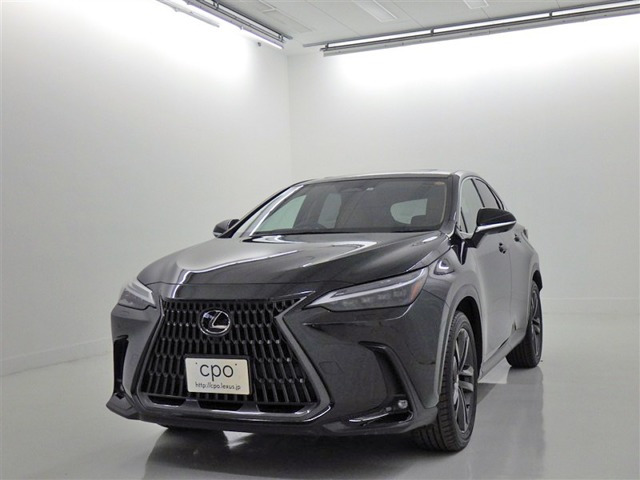 NX250 バージョンL