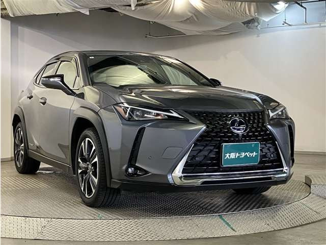 UX250h バージョンC