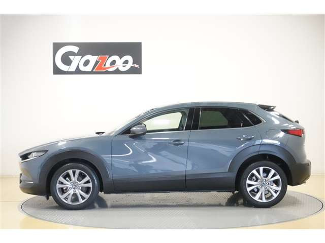 CX-301.8 XD Lパッケージ