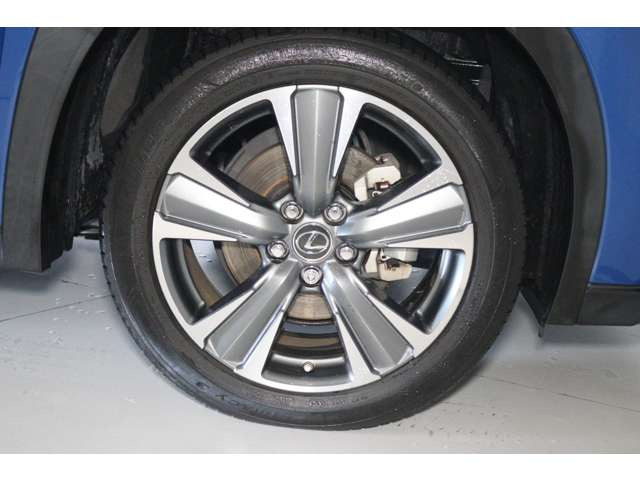 UX300e バージョンL