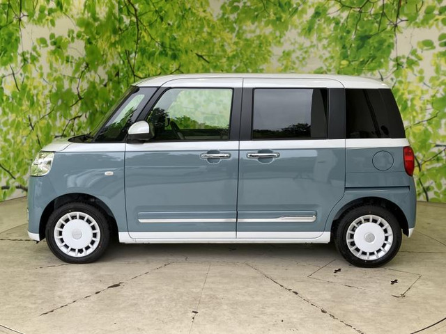 ムーヴキャンバスストライプス G