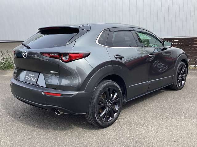 CX-30