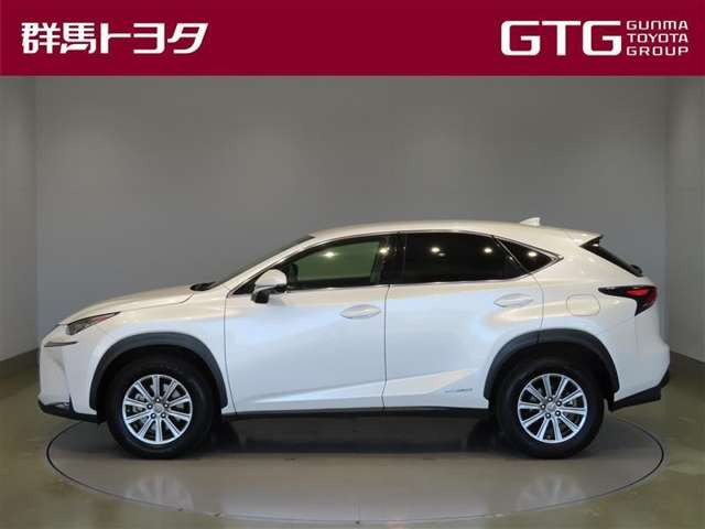 NX300h Iパッケージ