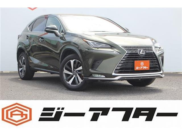 NX300 スパイス&amp;シック