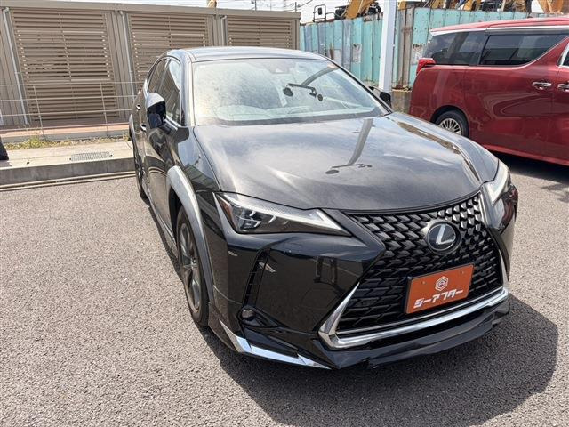 UX250h バージョンC