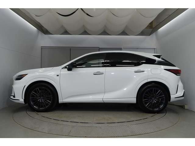 RX500h Fスポーツパフォーマンス 4WD